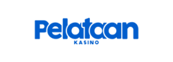 pelataan casino feature image