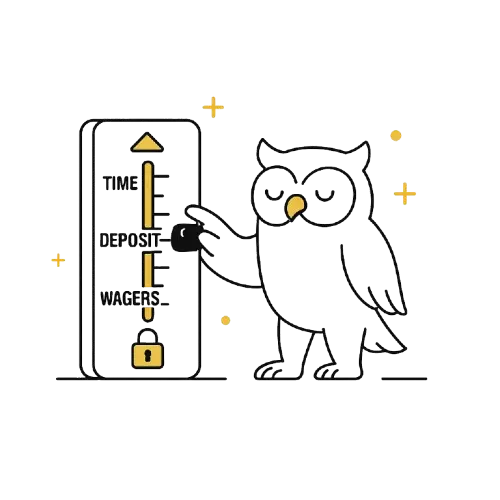 Aseta pelirajat nettikasinolla